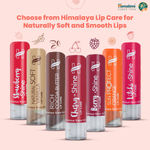Buy Himalaya Herbals Peach Shine Lip Care (4.5 g) - Purplle