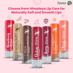 Buy Himalaya Herbals Litchi Shine Lip Care (4.5 gm) - Purplle