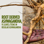 Buy Kapiva Ashwagandha Gold Capsules (60 N Caps) 100% Ayurvedic | With Gold, Shilajit | Helps in Stress Management | For Men & Women - Purplle