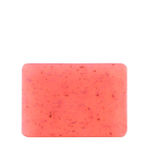 Buy The Body Shop Vegan British Rose Exfoliating Soap, 100G - Purplle