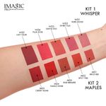 Buy Imagic Professional Cosmetics Matte Liquid Lipstick Maples (LP-214) (5*5 g) - Purplle