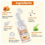 Buy TNW The Natural Wash Papaya Foaming Face Wash with Lactic Acid & Panthenol | For Brightening Skin Tone & Controlling Excess Oil 100 ml - Purplle