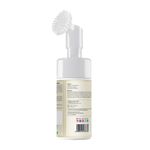 Buy TNW The Natural Wash Papaya Foaming Face Wash with Lactic Acid & Panthenol | For Brightening Skin Tone & Controlling Excess Oil 100 ml - Purplle
