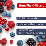 Buy Good Vibes Berry Nourishing Lip Balm SPF 15 | Smooths, Shine | Vegan, No Parabens, No Sulphates, No Mineral Oil, No Animal Testing, No Silicones (4.2 g) - Purplle