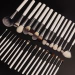 Buy Suroskie Master Brush Set - Purplle
