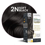 Buy Aequo Organic Damage Free Cream Hair Color Salon Pack 2N Blackish Brown 120ml - Purplle