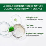 Buy Alps Goodness Acne Control Combo for Oily Skin| Face Wash (100 ml) | Night Cream (50 gm) | Clay Face Mask (50 gm) | With Salicylic Acid, Tea Tree, Apple Cider Vinegar - Purplle