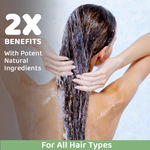 Buy Rey Naturals Moroccan Argan Avocado Hair Shampoo (300ml) + Conditioner (250ml) + Hair Oil (200ml) Combo to Repair Damaged Hair - Purplle