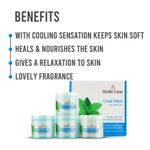 Buy Vedicline Cool Mint Facial Kit, Reduce Tan & Dead Skin with Mint Oil, Lavender Oil, Shea Butter for Skin Lightening & Brightening,400ml - Purplle