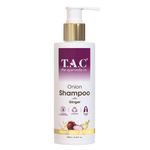 Buy TAC - The Ayurveda Co. Onion Hair Shampoo with Ginger for Healthy Hair and Scalp, 250ml - Purplle