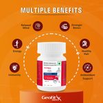 Buy Geofit Combo Pack of 2( 30 Tablets Each) For Men and Women Multivitamin Multimineral Tablets with Vitamin, Protein, Ginseng Extract Helps in Immunity|Keep yor Energetic All day - Purplle