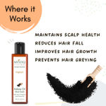 Buy Mystiq Living Originals - Kalonji Oil (Onion Black seed )-(200 ml) - Purplle