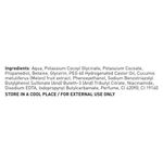 Buy Skinella Facial Foam African Melon & Tea Tree - Purplle