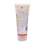 Buy Skinella Goji Berry With Vitamin C Facewash 100g - Purplle