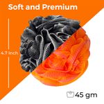 Buy Panache Premium Bath Puff Loofah Combo - 2 (Black & Orange) - Purplle