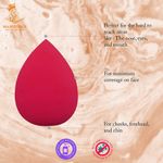 Buy Majestique 3 Types of Sponge Set for Daily Use, Dual Use Wet and Dry - Color May Vary - Purplle