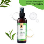 Buy Pilgrim Tea Tree Purifying Toner With Niacinamide & Hyaluronic Acid | Pore Cleansing, Pore Tightening  (100 ml) - Purplle