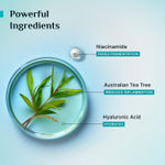 Buy Pilgrim Tea Tree Purifying Toner With Niacinamide & Hyaluronic Acid | Pore Cleansing, Pore Tightening (100 ml) - Purplle