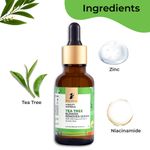 Buy Pilgrim Tea Tree Blemish Remover Serum With 10% Niacinamide 1% Zinc PCA | For Acne Prone SkinWomen & Men, (30 ml) - Purplle
