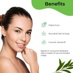 Buy Pilgrim Tea Tree Essential Oil |For Skin & Hair | 100% Pure & Natural Tea Tree Essential Oil For Acne & Pimples | Tea Tree Oil Dor Controlling Dandruff | Women & Men, (10 ml) - Purplle