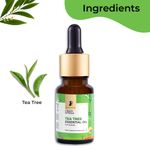 Buy Pilgrim Tea Tree Essential Oil |For Skin & Hair | 100% Pure & Natural Tea Tree Essential Oil For Acne & Pimples | Tea Tree Oil Dor Controlling Dandruff | Women & Men, (10 ml) - Purplle