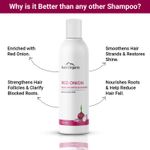 Buy Aravi Organic Red Onion Hair Shampoo For Hair Growth & Hair Fall Control - Enriched with Onion Ginger Oil, Argan Oil, Black Seed Oil & Vitamin E - For Women and Men- Paraben Free - 200 ml - Purplle
