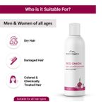 Buy Aravi Organic Red Onion Hair Shampoo For Hair Growth & Hair Fall Control - Enriched with Onion Ginger Oil, Argan Oil, Black Seed Oil & Vitamin E - For Women and Men- Paraben Free - 200 ml - Purplle