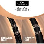 Buy Aravi Organic Red Onion Hair Shampoo For Hair Growth & Hair Fall Control - Enriched with Onion Ginger Oil, Argan Oil, Black Seed Oil & Vitamin E - For Women and Men- Paraben Free - 200 ml - Purplle