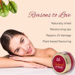 Buy Old Tree Beetroot Lip Balm For Dry And Chapped Lips (8 g) - Purplle