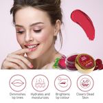 Buy Old Tree Beetroot Lip Balm For Dry And Chapped Lips (8 g) - Purplle