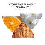 Buy Wella Professionals INVIGO COLOR BRILLIANCE Conditioner 200 ml - Purplle