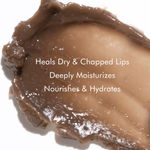 Buy Free mCaffeine Choco Lip Balm for Dry & Chapped Lips - 24 Hours Moisturization (12gm) - Purplle