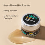 Buy Free mCaffeine Choco Lip Sleeping Butter - 24 Hours Moisturization (12 gm) - Purplle