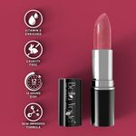 Buy Bella Voste Sheer Creme Lust Lipstick | Metallic Finish | Cruelty Free | Long Lasting Improved Formula | One Stroke Aplication | Highly Pigmented | M03-Princess | 4.2 g - Purplle