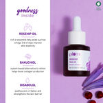 Buy Plum Plum Rosehip Face Oil With 0.5% Bakuchiol & 0.8% Bisabolol | Boosts Collagen for a Youthful Glow | Improves Skin Elasticity, Fine Lines & Wrinkles | Fragrance-Free | 100% Vegan (20 ml) - Purplle