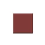 Buy Colorbar Vegan Nail Lacquer-Bronzer - Purplle
