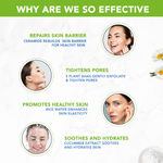 Buy The Moms Co Natural Ceramide Face Toner for Women & Men | Replenishes Moisture | For All Skin Types - 100 ml - Purplle