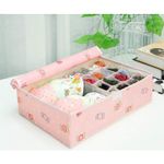 Buy House of Quirk Innerwear Organizer 16+1 Compartment Non-Smell Non Woven Foldable Fabric Storage Box for Closet (44 x 28 x 12 cm Pink Candy)_(MCIO_PIN_HEARTCANDY) - Purplle