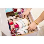 Buy House of Quirk Innerwear Organizer 16+1 Compartment Non-Smell Non Woven Foldable Fabric Storage Box for Closet (44 x 28 x 12 cm Pink Candy)_(MCIO_PIN_HEARTCANDY) - Purplle