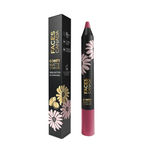 Buy Faces Canada Comfy Matte Crayon I Creamy Matte I Chamomile & Shea Butter I Alcohol-free I Regram 02 2.8g - Purplle