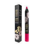 Buy Faces Canada Comfy Matte Crayon I Creamy Matte I Chamomile & Shea Butter I Alcohol-free I Dramaqueen 04 2.8g - Purplle