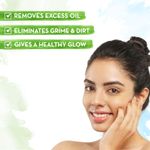 Buy Mamaearth Oil-Free Face Wash for Oily Skin, with Apple Cider Vinegar & Salicylic Acid for Acne-Prone Skin – 250 ml - Purplle