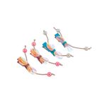 Buy Silvermerc Designs Set of 4 Glitter Hair Accessory - Purplle