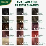 Buy Streax cream Hair colour, 100% Grey Coverage, No Ammonia, Long Lasting Permanent hair colour, Burgandy, 120 ml - Purplle