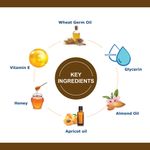 Buy OxyGlow Herbals D-Tan Facial Kit,50 gm, Revives dull-skin, Instant Glow - Purplle