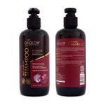 Buy OxyGlow Herbals Red onion shampoo - Purplle