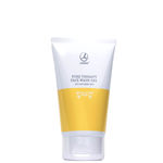 Buy LAMBRE Pure Therapy Face wash Oily - Purplle