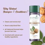 Buy Biotique Walnut Volume & Bounce Shampoo & Conditioner (190 ml) - Purplle