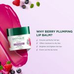 Buy Biotique BERRY Plumping Lip Balm 12g - Purplle