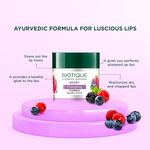 Buy Biotique BERRY Plumping Lip Balm 12g - Purplle